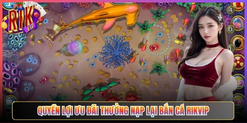 Quyền Lợi Ưu Đãi Thưởng Nạp Lại Bắn Cá Rikvip